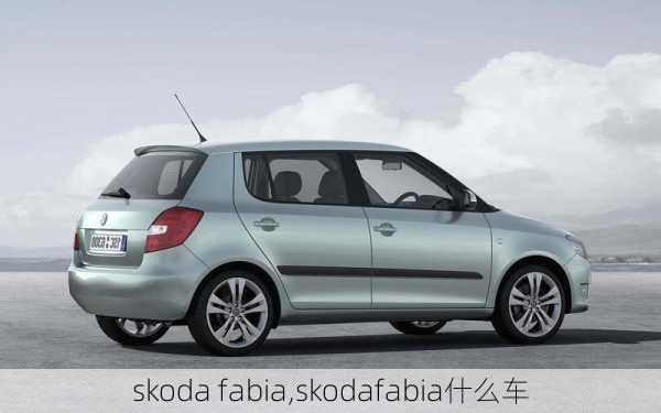 skoda fabia,skodafabia什么车