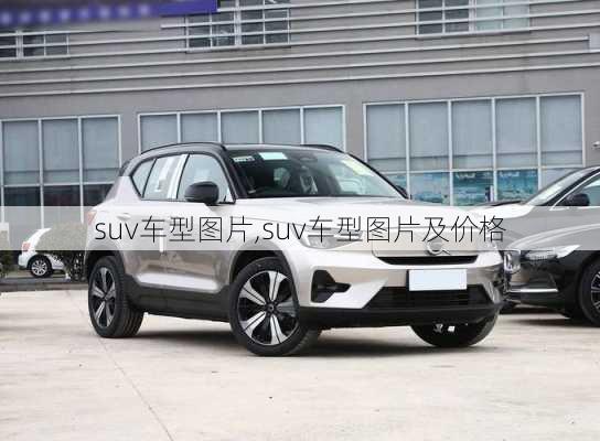 suv车型图片,suv车型图片及价格