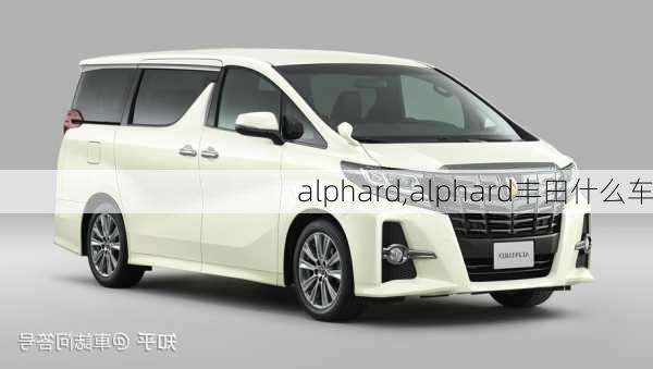 alphard,alphard丰田什么车