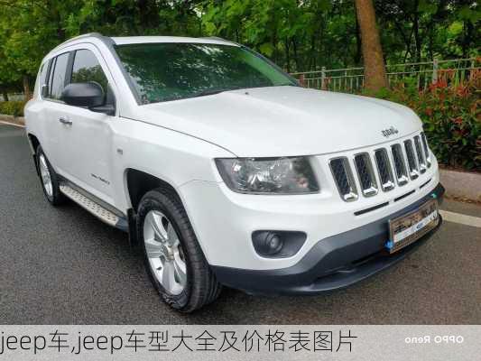 jeep车,jeep车型大全及价格表图片