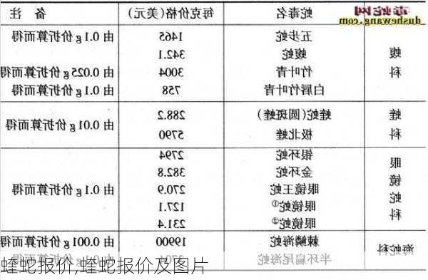 蝰蛇报价,蝰蛇报价及图片