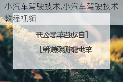 小汽车驾驶技术,小汽车驾驶技术教程视频