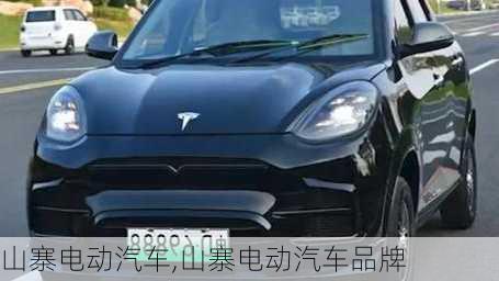 山寨电动汽车,山寨电动汽车品牌