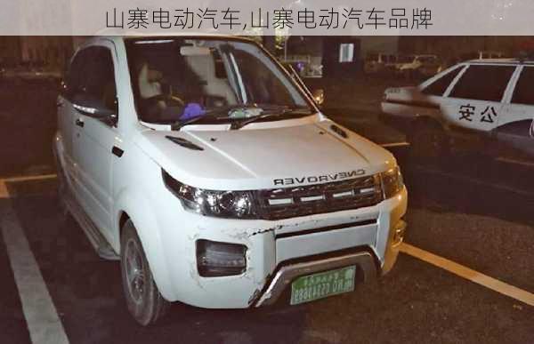 山寨电动汽车,山寨电动汽车品牌