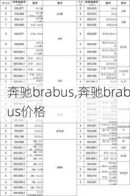 奔驰brabus,奔驰brabus价格