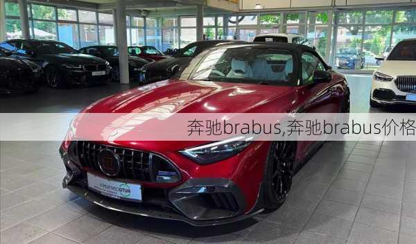 奔驰brabus,奔驰brabus价格