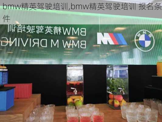 bmw精英驾驶培训,bmw精英驾驶培训 报名条件