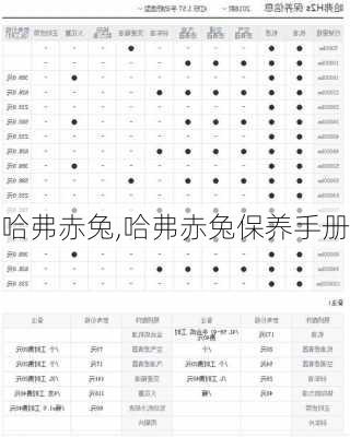 哈弗赤兔,哈弗赤兔保养手册