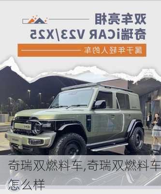 奇瑞双燃料车,奇瑞双燃料车怎么样