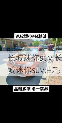 长城迷你suv,长城迷你suv油耗