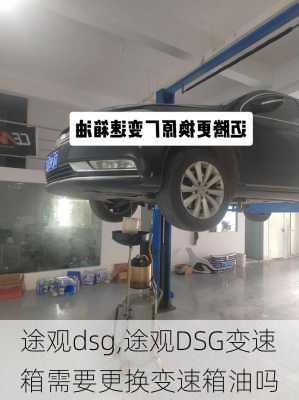 途观dsg,途观DSG变速箱需要更换变速箱油吗